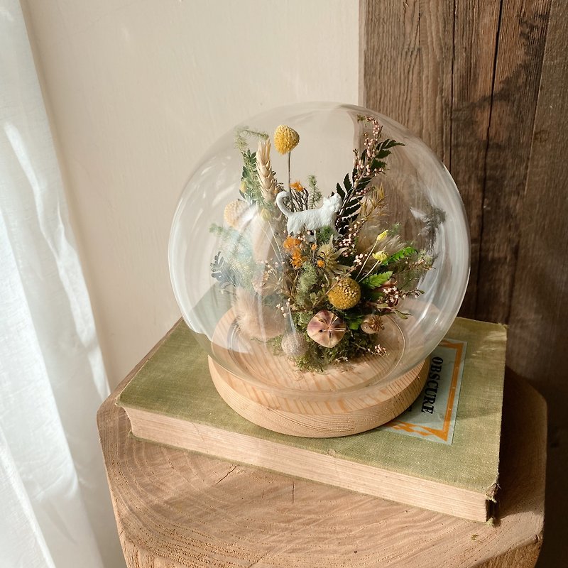 永生花 乾燥花玻璃罩盅 貓咪擺件 森林系 - 乾燥花/永生花 - 植物．花 綠色