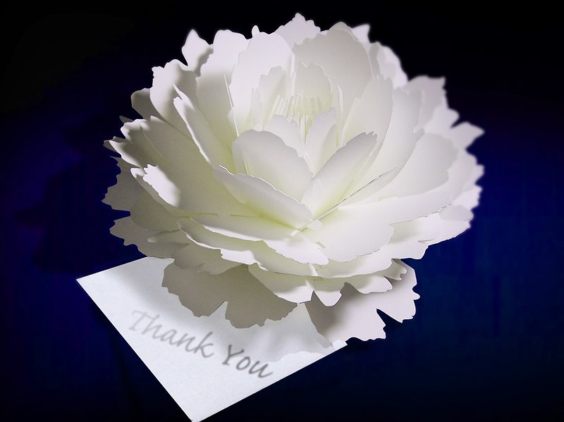 Blooming flower pop-up message card　white-peony - Cards & Postcards - Paper White