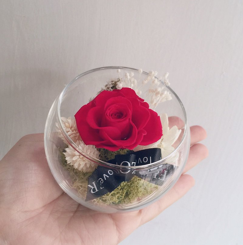 Flover 芙拉設計 「你的小世界」 永生玫瑰玻璃圓球花 - 植栽/盆栽 - 植物．花 