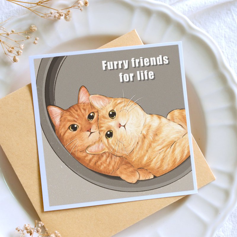 Mao Mao good friend cat square postcard universal card postcard square cute illustration - Cards & Postcards - Paper Silver