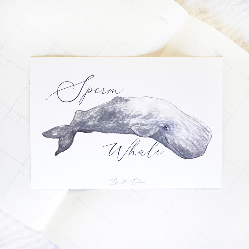 【鯨歸何處 - Sperm Whale 抹香鯨】 水彩插畫 明信片 鯨魚 鯨落 - 卡片/明信片 - 紙 灰色