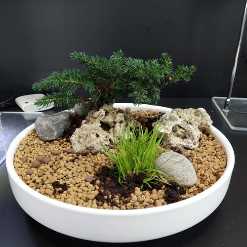 盆栽風置物 盆栽 | インテリア雑貨,オブジェ | Chatani interior store