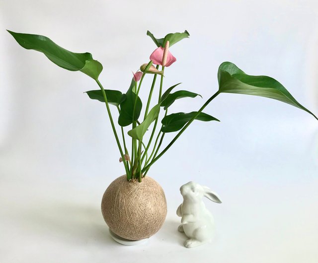 ピンクチャンピオンアンスリウムフラワー手作り植栽モスボール ショップ Friendrabbit 観葉植物 Pinkoi