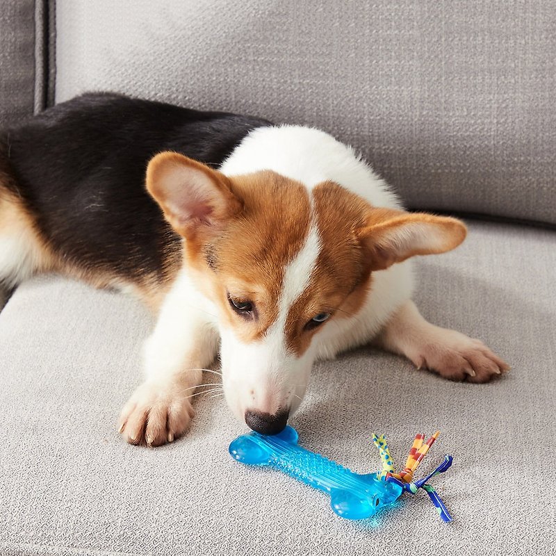 Orka Alternative Dog Chew Toy, Bone - ของเล่นสัตว์ - วัสดุอื่นๆ 