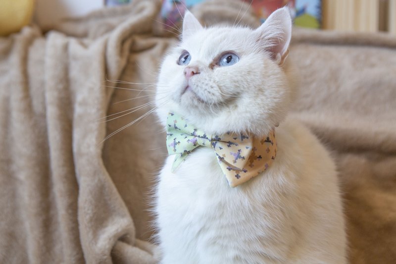 Pets Collar with Bowties with abstract Pattern in pastel green color - Collars & Leashes - Other Man-Made Fibers Multicolor