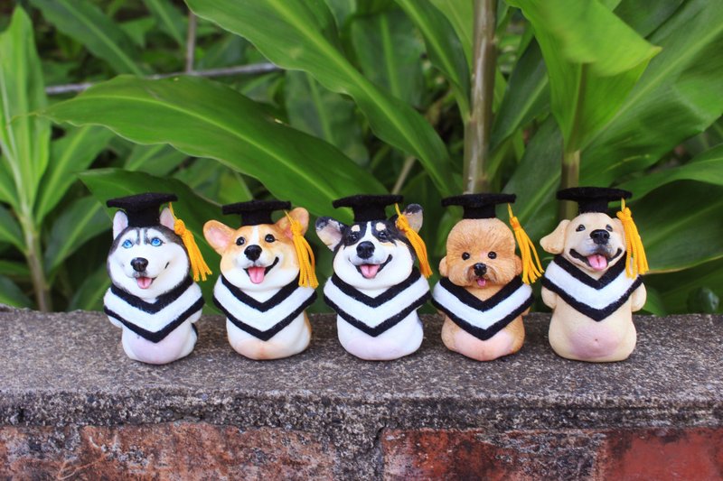 Graduation doll decoration‧Graduation gift‧Bachelor uniform‧Ski. Corgi. Poodle. Labrador - Items for Display - Resin 