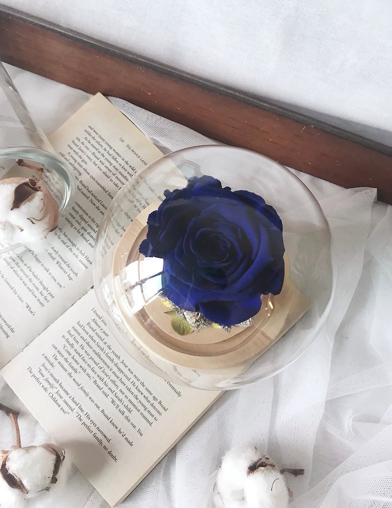 玻璃罩玫瑰/永生小玫瑰/玻璃盎/玻璃罩永生花/恆星花/畢業禮物 - 乾燥花/永生花 - 植物．花 藍色