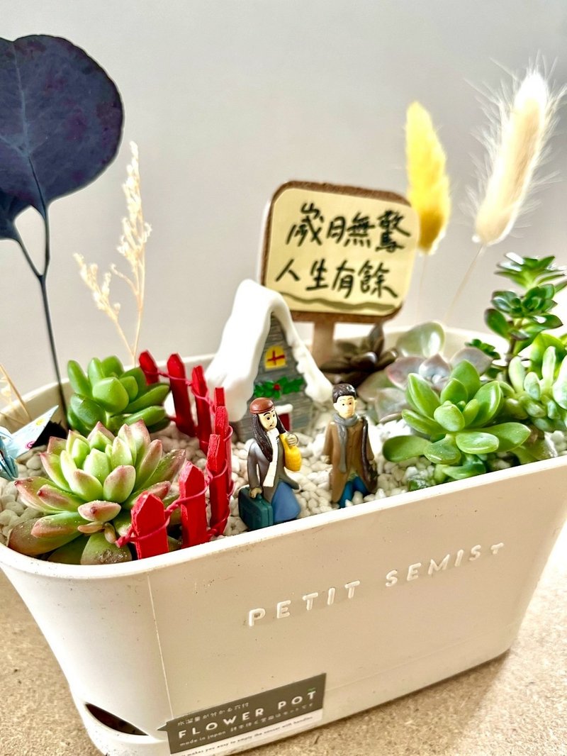 多肉組盆 多肉植物 日式枯山水 向左走向右走 幾米 情人節禮 情侶 - 盆栽/植栽 - 植物．花 綠色