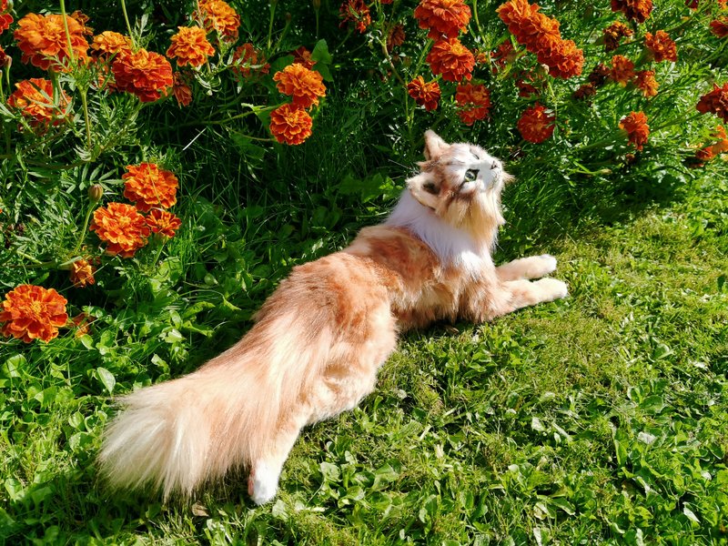 real size cat realistic animal stuffed! art doll poseable - 玩偶/公仔 - 其他人造纖維 白色