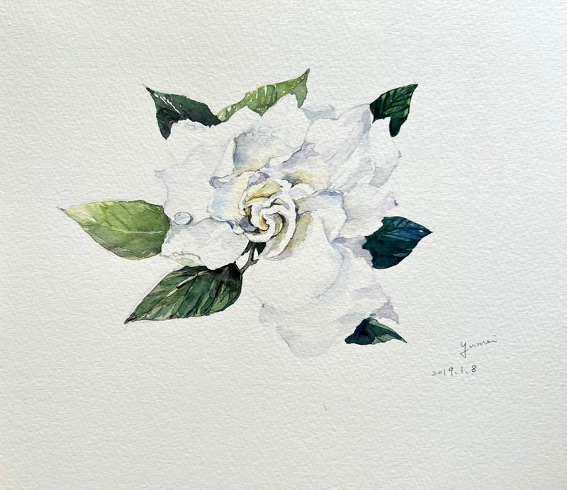 Watercolor gardenia - Illustration, Painting & Calligraphy - Paper 