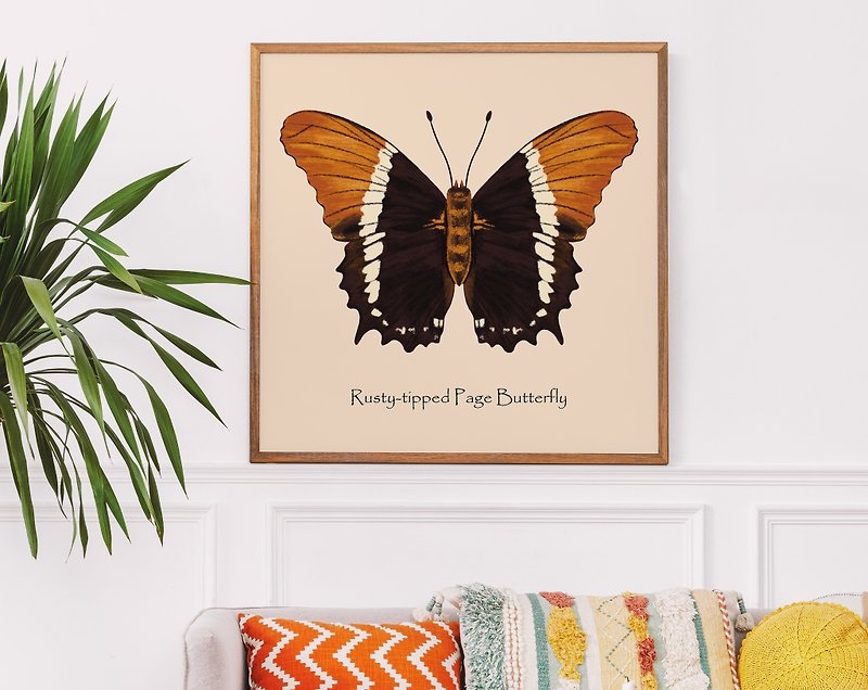 Butterfly Art Print for Kids Room, Nursery Wall Decor - Posters - Paper 