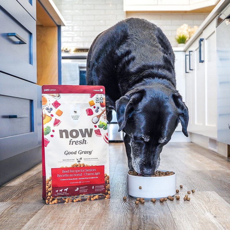 【狗主食】now 牛肉 中型老犬/體控犬 高湯天然糧 乾濕兩吃 狗糧 - 狗罐頭/鮮食 - 新鮮食材 
