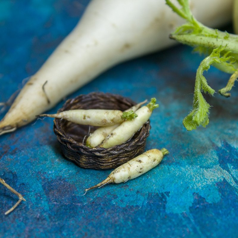 TUTORIAL Miniature daikon with polymer clay | PDF + video - 手工藝教學/工具書 - 其他材質 