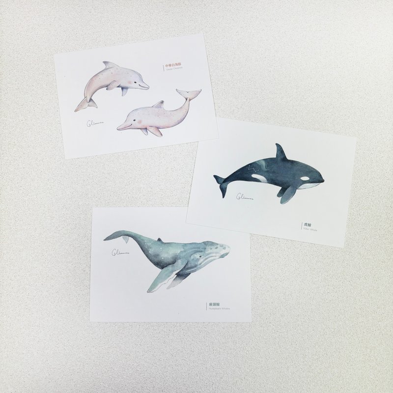 Marine Life - Postcards - Cards & Postcards - Paper Blue