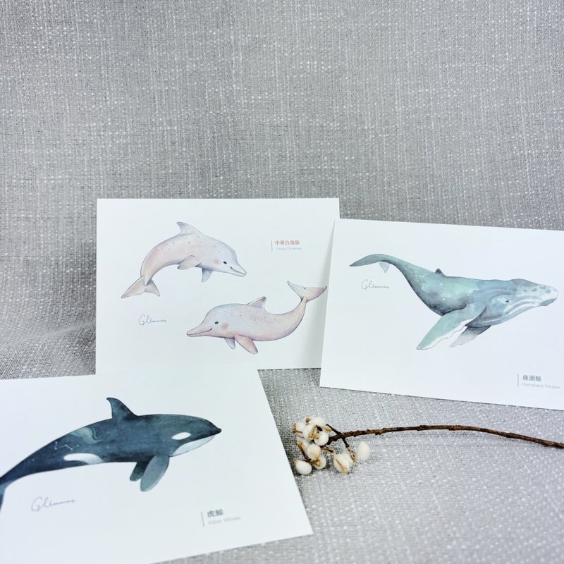 | 微光Ocean | 插畫明信片_海洋生物系列 - 卡片/明信片 - 紙 藍色