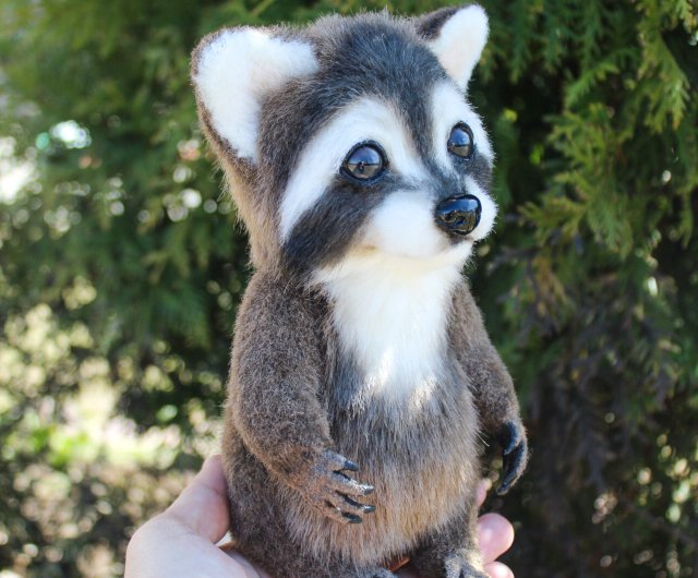 racoon doll