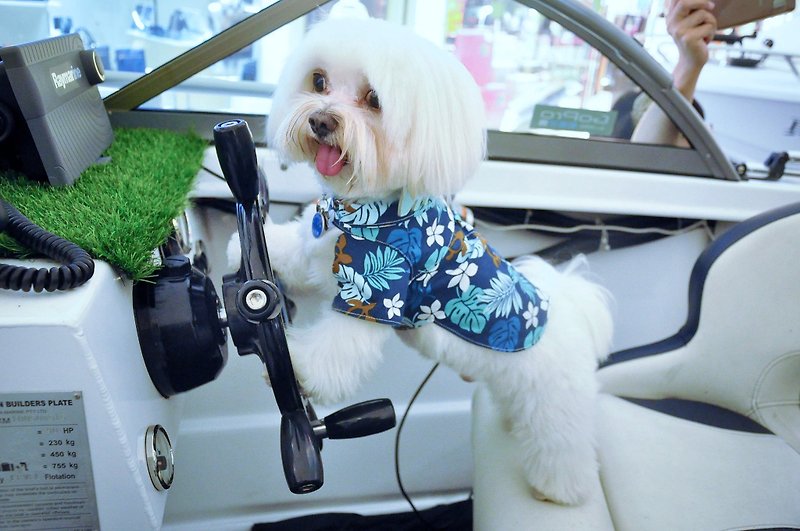 Among dog harness turtle Hibiscus shirt - Clothing & Accessories - Cotton & Hemp 