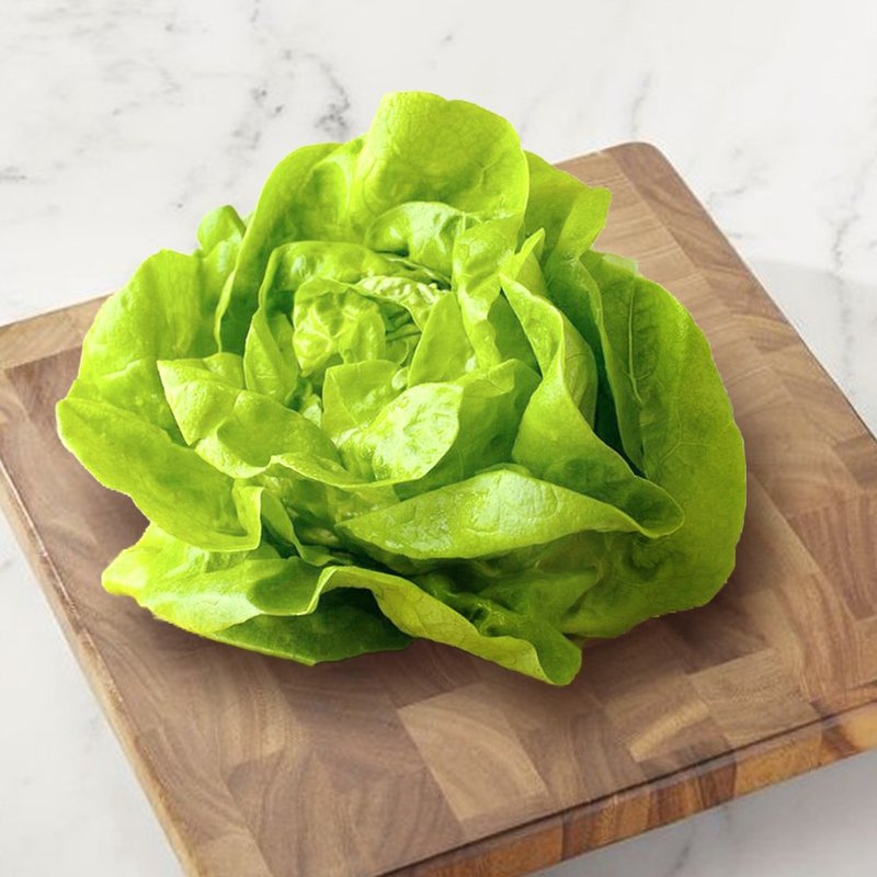 [Green Cream Boston] 800g/hydroponic/lettuce/lettuce/home delivery (200gX4 bags) - Other - Fresh Ingredients Green