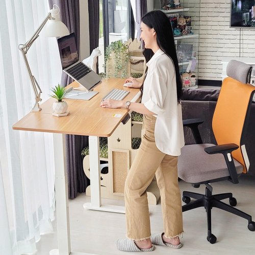 Flexispot 製図多機能電動昇降デスク - ショップ Azure Planet 机