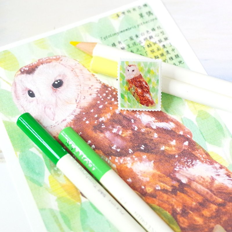 Taiwan's endemic subspecies Oriental Grass Owl stamp style painting pin brooch - เข็มกลัด - วัสดุกันนำ้ สีนำ้ตาล