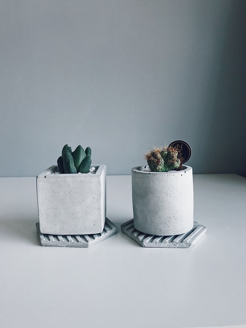 One party ㄧ round Cement potted plant set. Valentine's day gift Christmas gift - Plants - Cement Gray