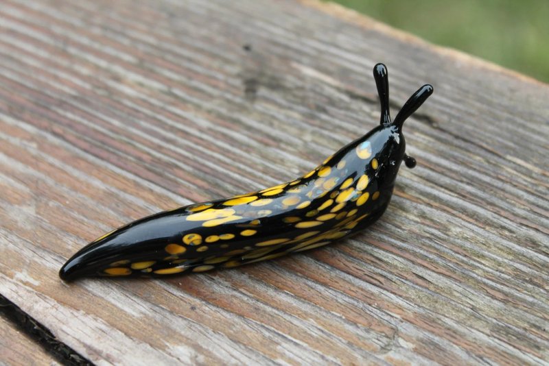 Collectible Glass Slug Mini Figurine - A Quirky and Irresistible Addition - Pottery & Glasswork - Glass Black