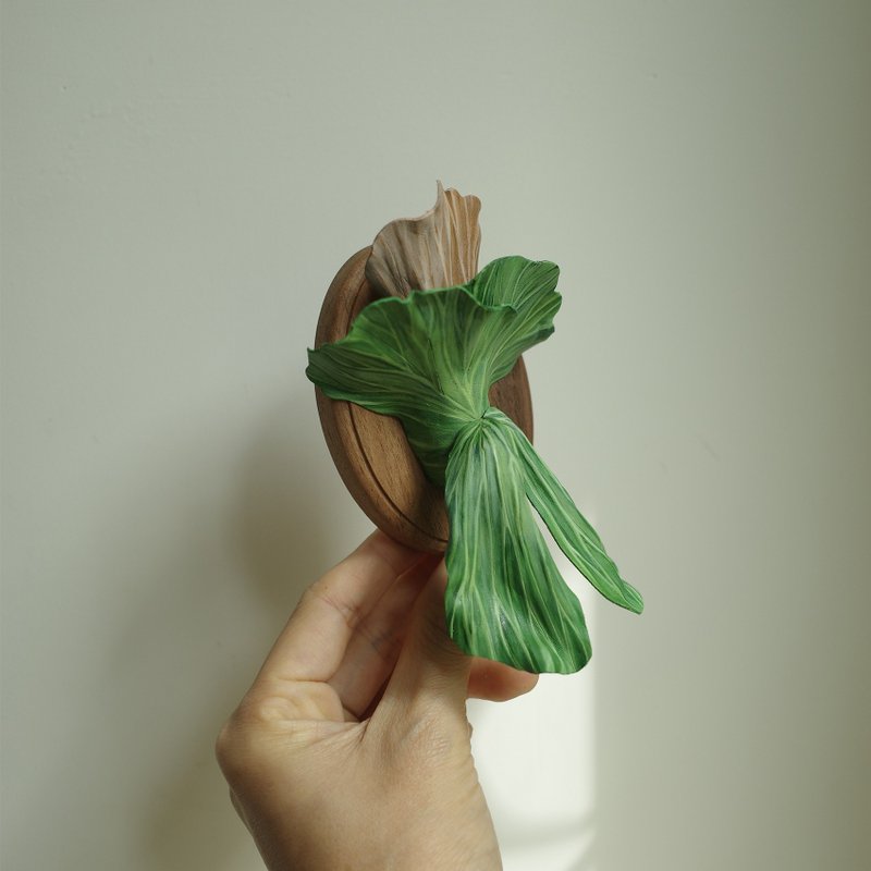 象耳鹿角蕨 platycerium elephantotis - 盆栽/植栽 - 真皮 