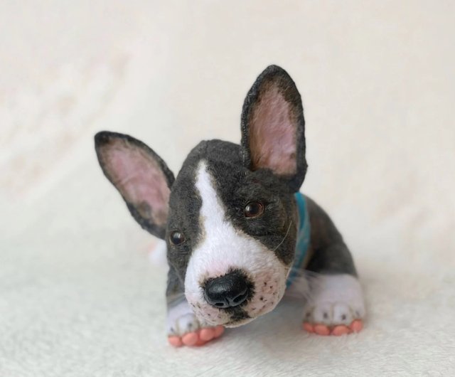 Toy english bull top terrier