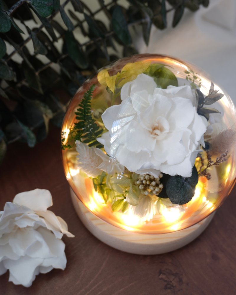 - Gardenia Glass Cover - Glass Cup Night Light Birthday Gift Anniversary Forest Series - Dried Flowers & Bouquets - Plants & Flowers 