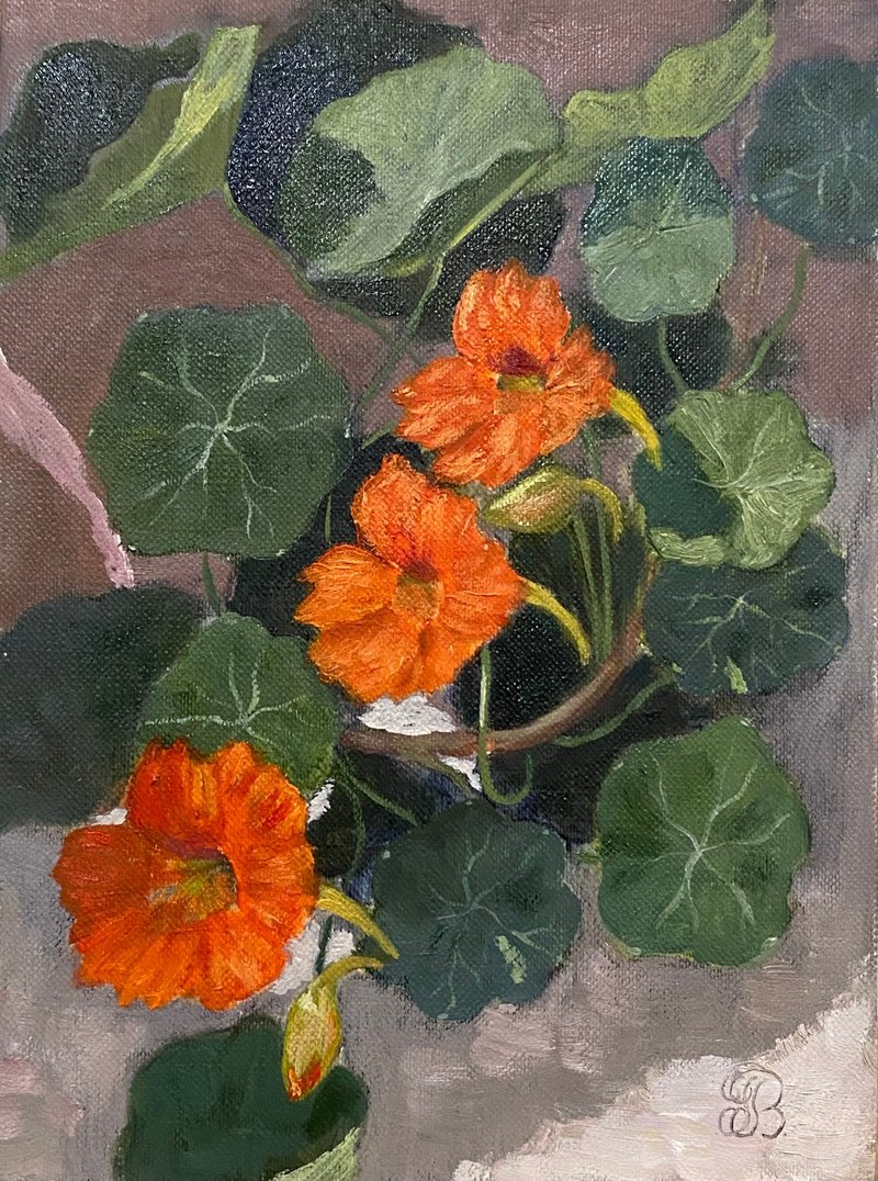 Original Oil Painting of Nasturtium Flowers Realistic Floral Art 15 x 20 cm - 壁貼/牆壁裝飾 - 紙 紅色