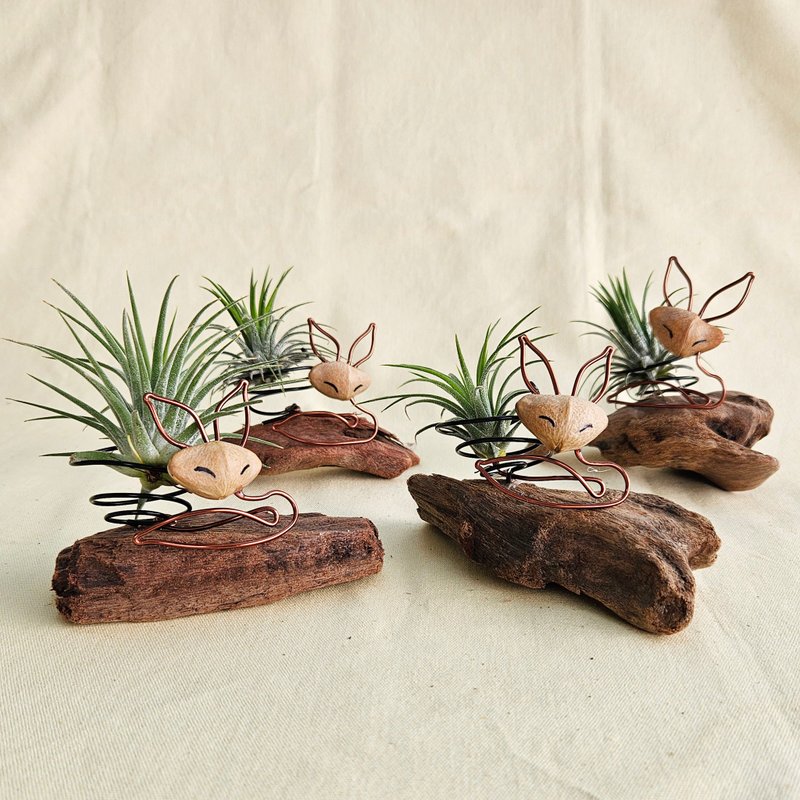 [Little Fox Loves Kongfeng] Weathered Wood Decoration - Plants - Wood 