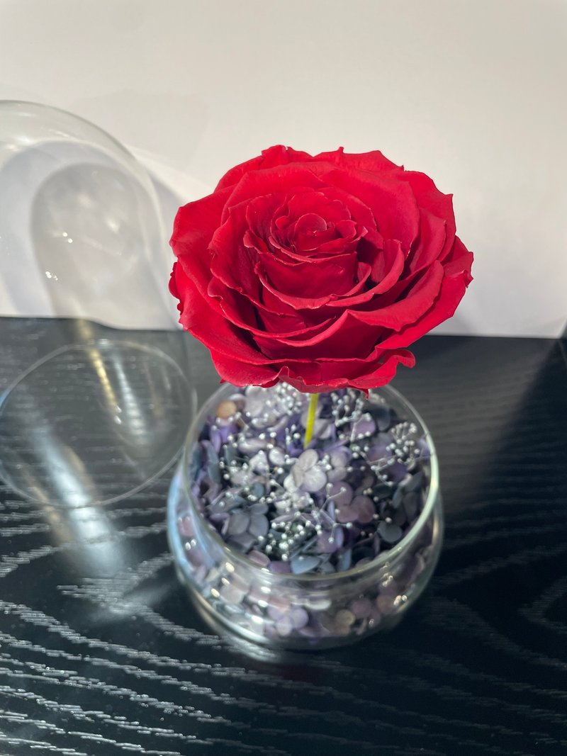 【Fouetté x TeAmo Flowers】Classic Glass Bottle Planet Rose - Items for Display - Plants & Flowers Red