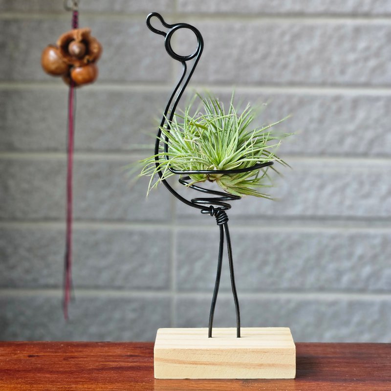 【鶴立雞群】含空鳳 - 盆栽/植栽 - 其他金屬 黑色