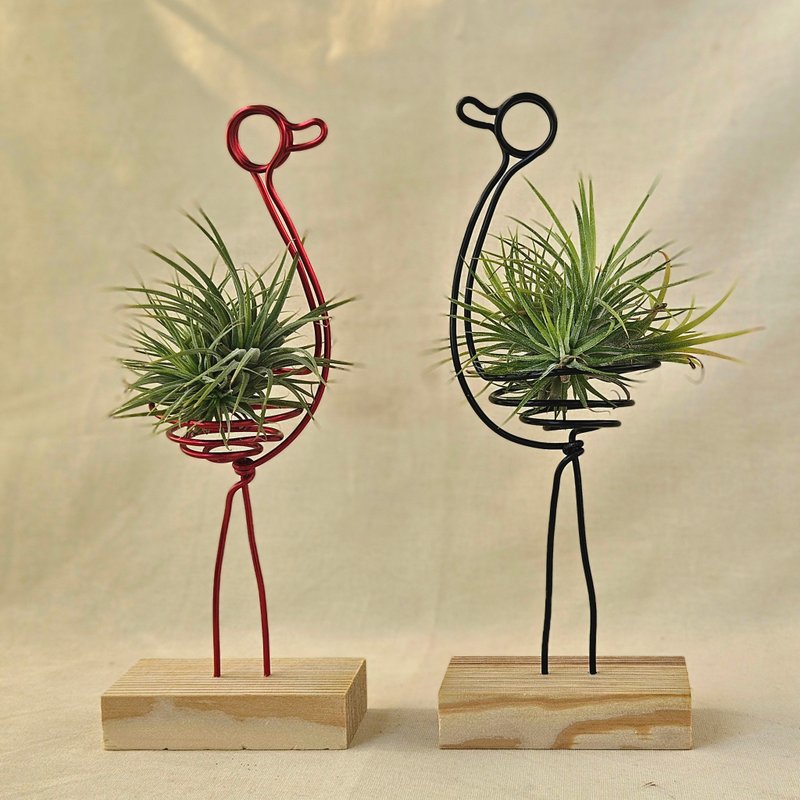 【黒鶴・紅鶴】エアプランツ付き - 観葉植物 - 金属 ブラック