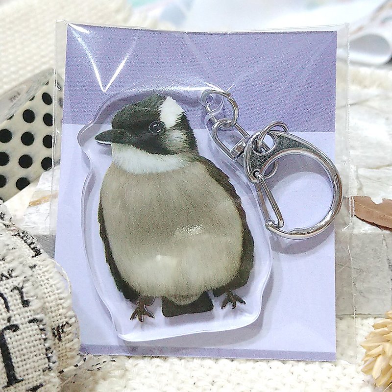 Acrylic pendant (key ring)-double-sided pattern-new manufacturer_Parrot - ที่ห้อยกุญแจ - อะคริลิค 