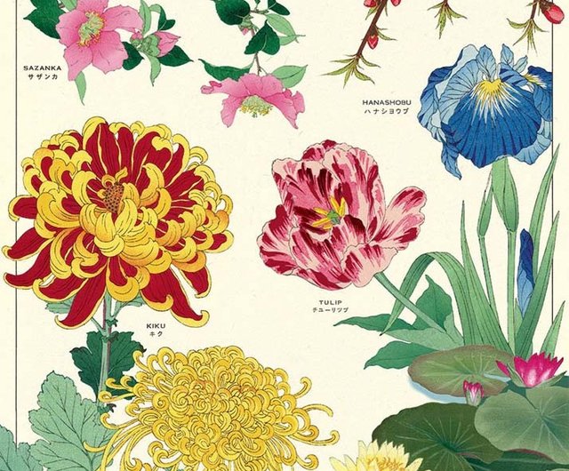 Cavallini & Co. ポスター/包装紙フラワーシリーズ（各種