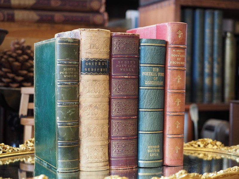 歐洲1800年-1900年的皮質裝真古董書（超過一百歲真品) 五本一組 - 其他 - 紙 咖啡色