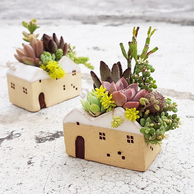 The small snow house 3 (With Succulents) - ตกแต่งต้นไม้ - ดินเผา ขาว