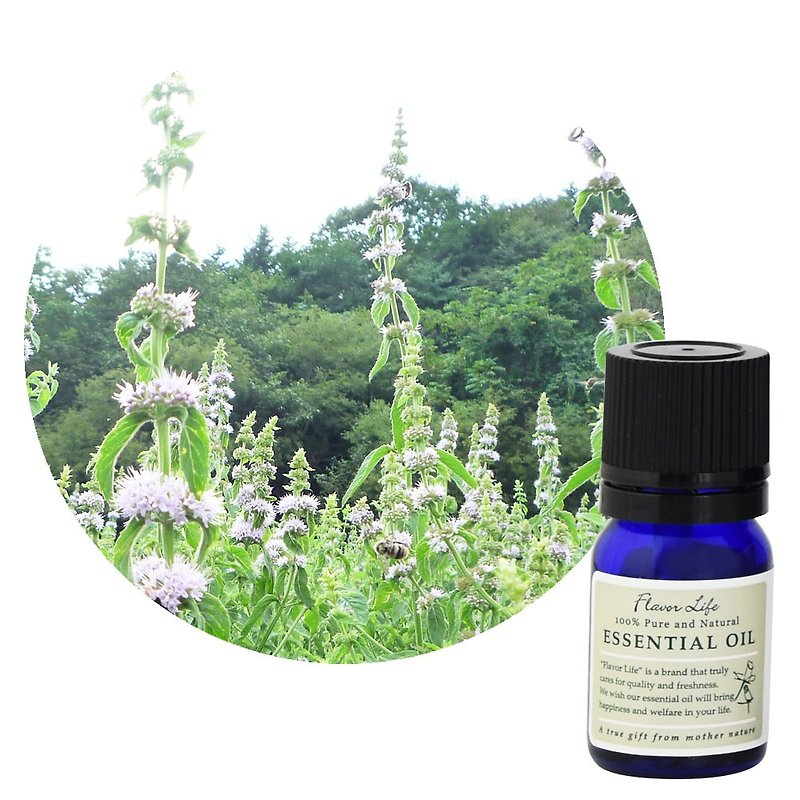 And essential oil [Japanese mint] Japanese mint from Hokkaido - Fragrances - Essential Oils 