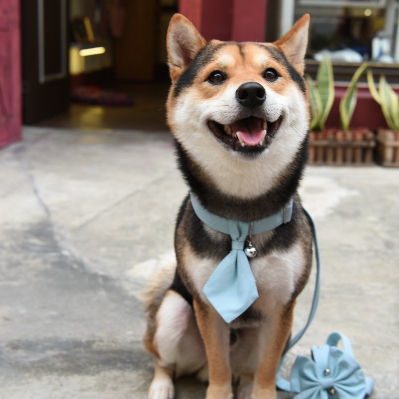 [ZAZAZOO] M code dog collar accessories - fresh green - without collar - ปลอกคอ - เส้นใยสังเคราะห์ 