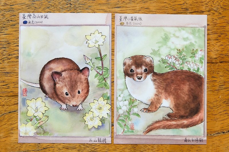 Taiwan endemic postcard/Taiwan mountain vole/Taiwan weasel set - การ์ด/โปสการ์ด - กระดาษ หลากหลายสี