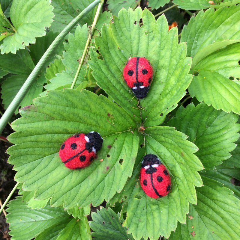 Tiny ladybird red brooch for women Needle felted wool ladybug replica pin 瓢蟲 - Brooches - Wool Red