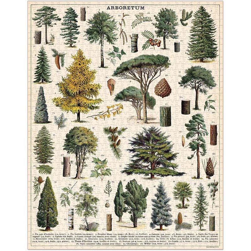 Cavallini & Co.  圓罐1000片拼圖_植物園 - 拼圖 - 紙 多色