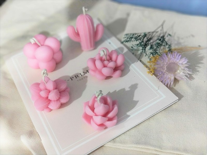 Haruka 多肉香氛蠟燭 - 香氛蠟燭/燭台 - 蠟 多色