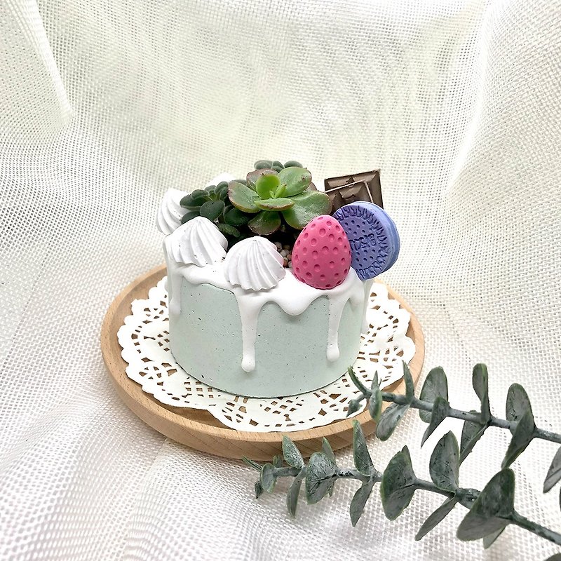 ∣Milk Sweetheart∣Hand-made mud pot succulent dessert shaped planter/customized product - Plants - Cement White