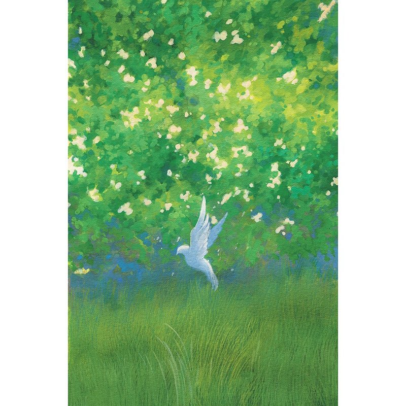 Postcards / small garden / NOMA - 卡片/明信片 - 紙 