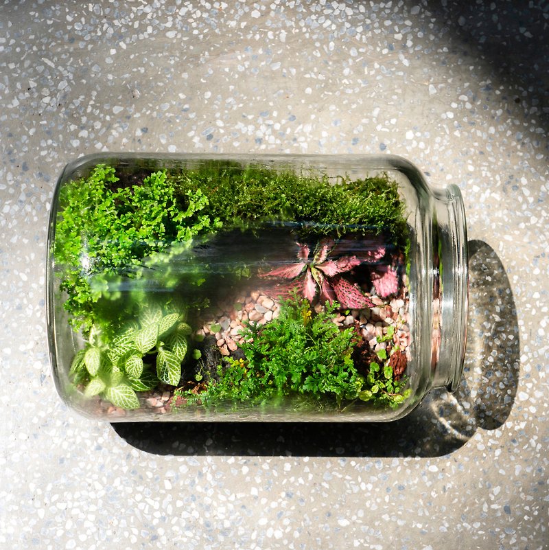 迷霧森林生態瓶 | 懶人植栽 免澆水 禮物 - 植栽/盆栽 - 植物．花 