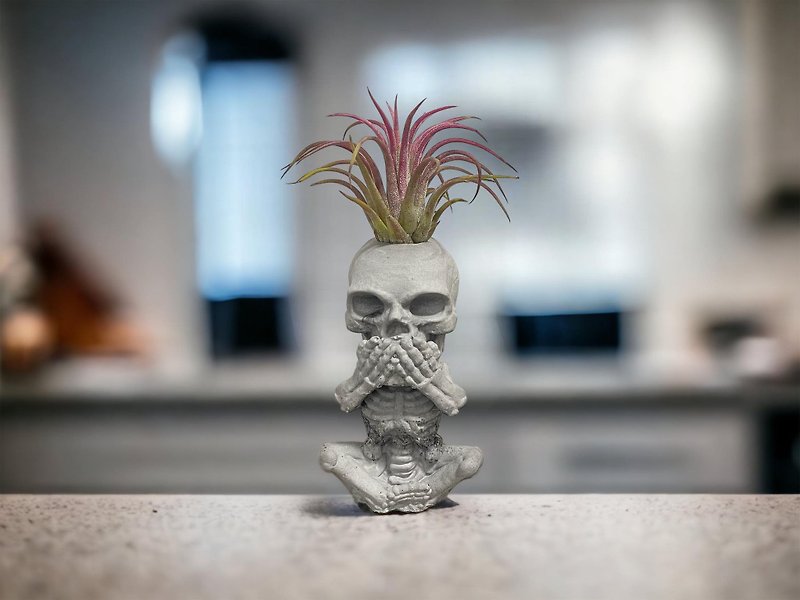 -I won’t tell you- Skull bone air pineapple diffuser stone Stone decoration potted plant - Plants - Plants & Flowers Gray