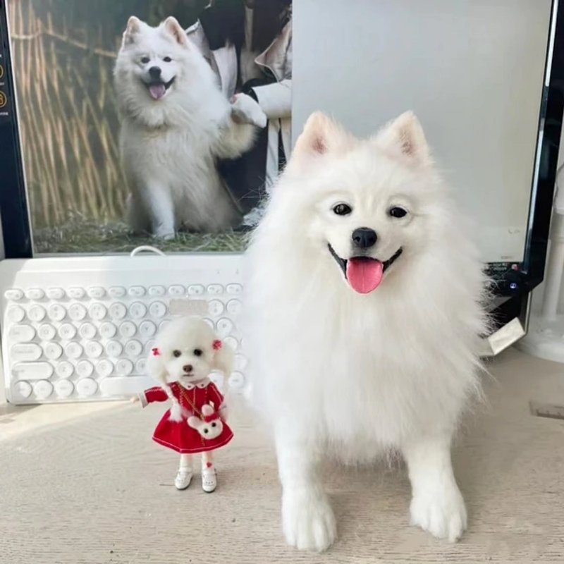 客制化逼真犬 羊毛氈 寵物 娃娃 定制 手工 狗狗猫咪 毛小孩  79 - 貓/狗玩具 - 羊毛 多色