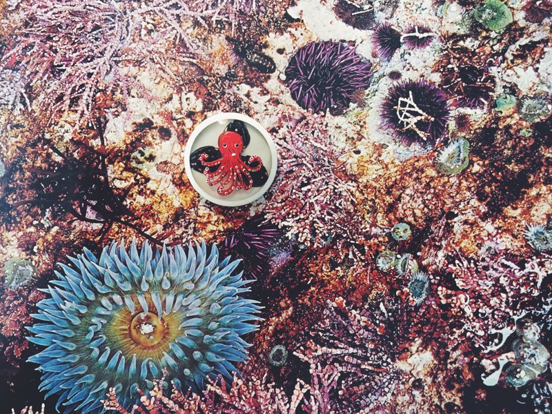 手繪胸針 - 章魚 / Octopoda / たこ - 胸針 - 貝殼 紅色